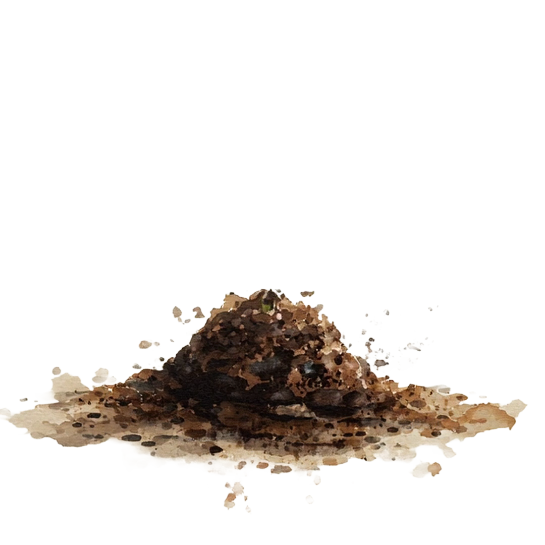 Soil mound